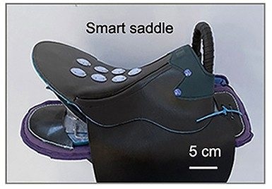 A TENG-powered smart saddle could help equestrians improve their riding, as well as alert others when they fall off their horse.