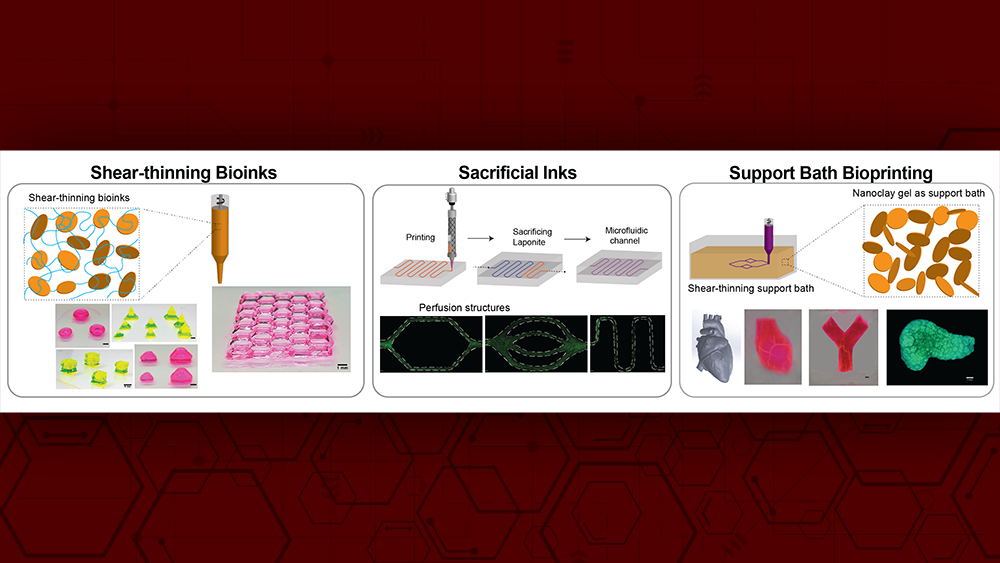 colloidal solutions of 2D nanosilicates as a platform technology to print complex structures via 3D bioprinting