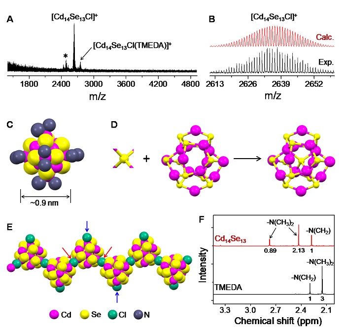 Composition and structural characterization of the Cd14Se13 cluster