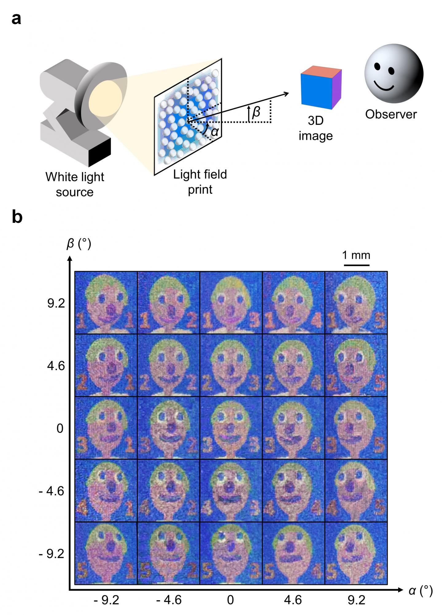 (a) Schematic of how a light field print works. (b) The light field print observed from different angles.