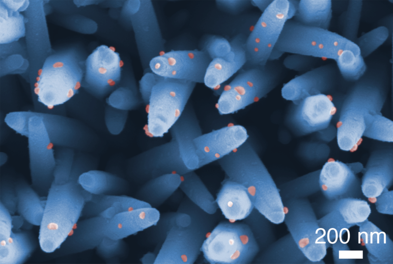 Microscopic image of nanowires