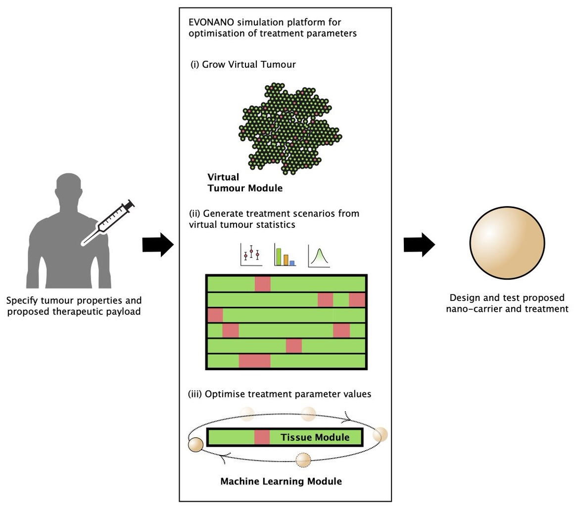 The EVONANO platform can grow virtual tumours and use A.I. to automatically optimise the design of nanoparticles to treat them.