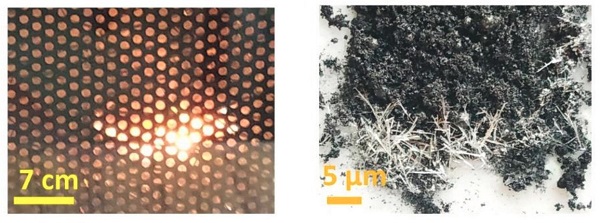 Hair-shaped structures of molybdenene (right) are formed in the microwave (left).