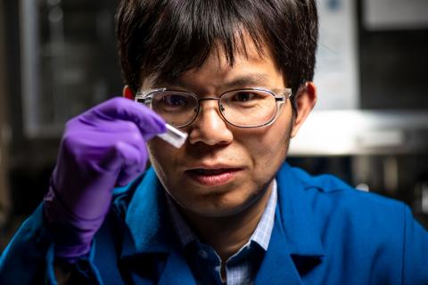 Materials scientist Chun-Long Chen finds inspiration for new materials in natural structures.