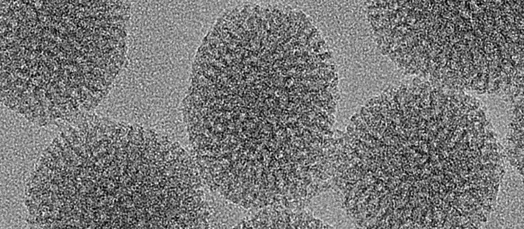This electron micrograph documents the porous nature of the silica nanoparticles. These pores are large enough to allow entrance of a large number of NSA molecules. Here, they are protected until being taken up by the immune cells. At this point NSA is released and can stop the inflammatory processes.