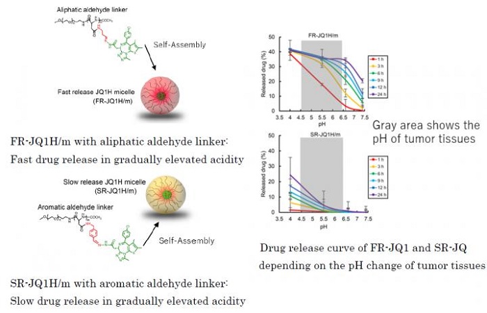 Different drug release profile depending on the linker used for block-copolymers of nano-micelles FR-JQ1H/m with aliphatic aldehyde linker