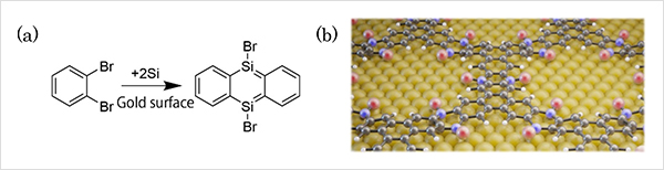 Figure.(a) On-surface chemical reaction developed in this research. (b) Schematic of the silicon-integrated COF film synthesized on the gold surface. Bromine atoms (Br): red spheres; silicon atoms (Si): purple spheres; carbon atoms: black spheres; hydrogen atoms: white spheres; and gold atoms on the substrate surface: gold spheres.