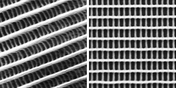 The two-​layer grid under the electron microscope