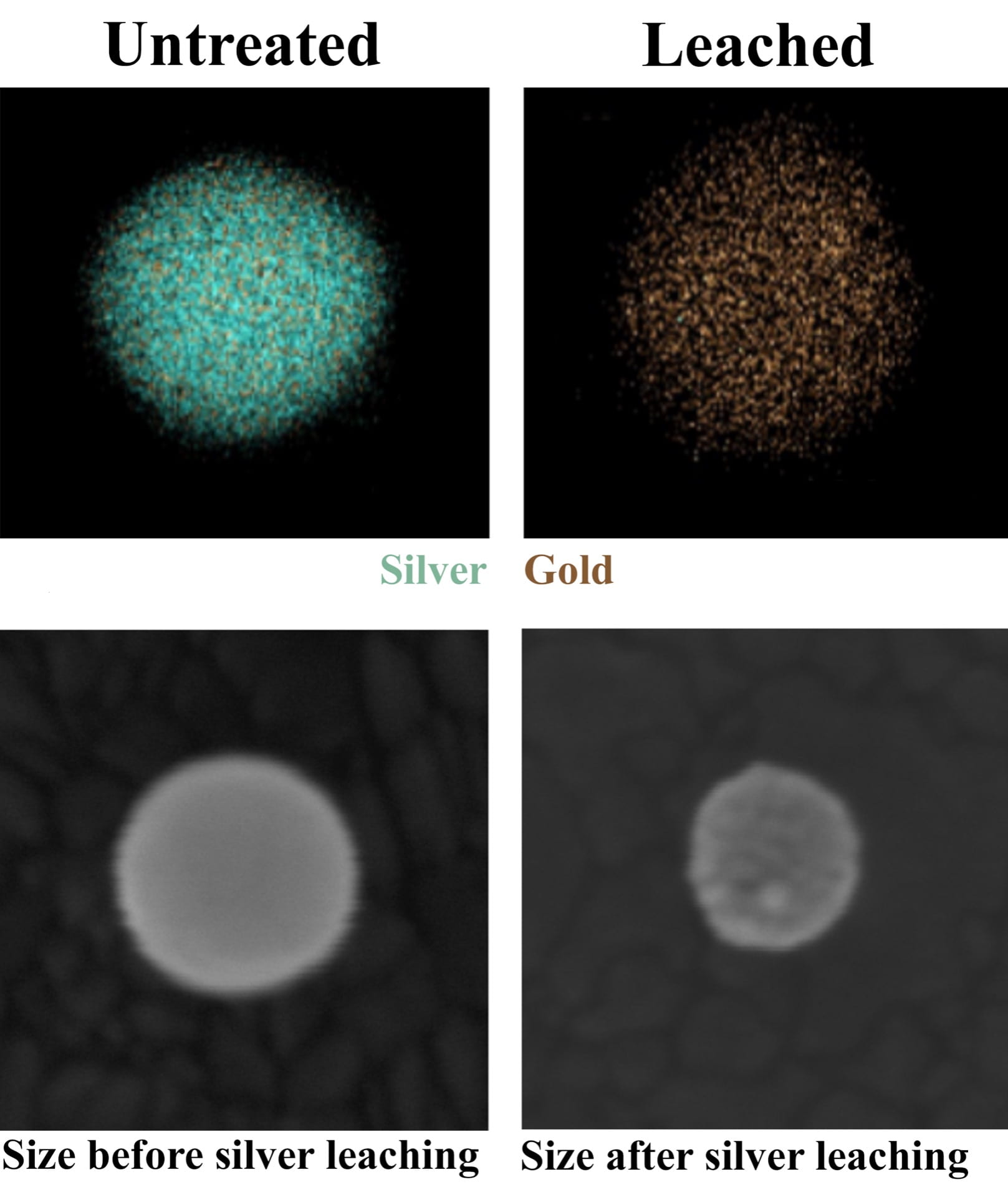 silver ions from gold-silver nanoparticle