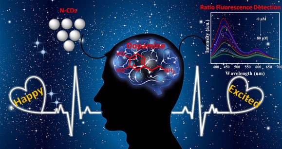 A schematic illustration of Synthesis of nitrogen-doped double-emission carbon dots and ratio fluorescence detection for dopamine