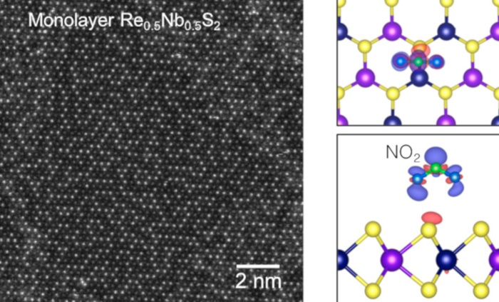 Atomic-resolution electron microscopy image of the bilayer and trilayer regions of Re0.5Nb0.5S2 revealing its stacking order