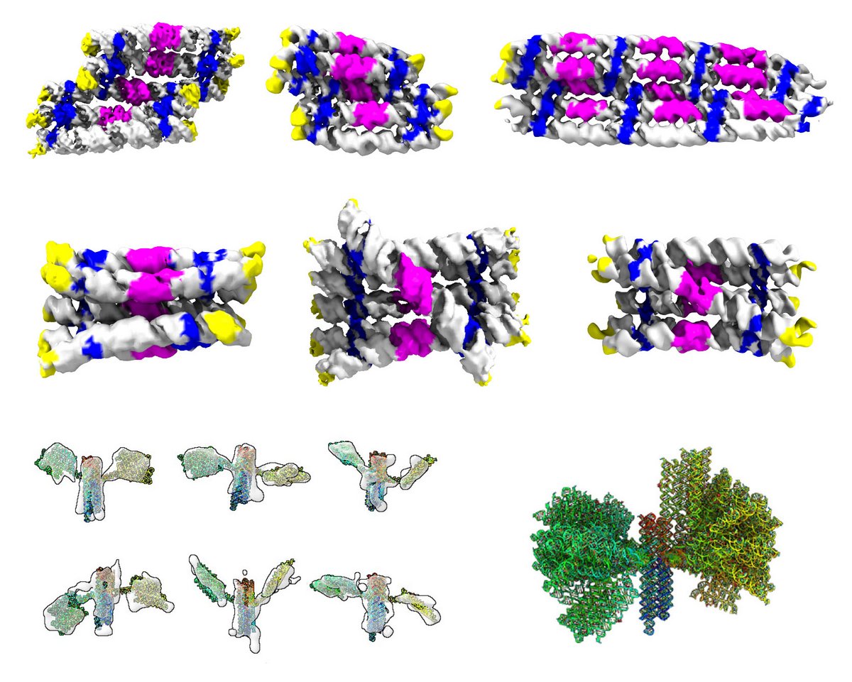 Gallery of the different RNA origami structures that were determined by cryogenic electron microscopy and tomography. Top rows show structures of RNA rectangles and cylinders colored by RNA motifs. Bottom row shows structures of the nanosatellite colored in rainbow from 5’ to 3’ end (the reading direction of an RNA strand).