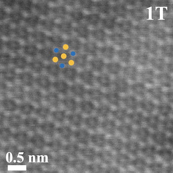 An electron microscope image shows tungsten disulfide in its metastable 1T state
