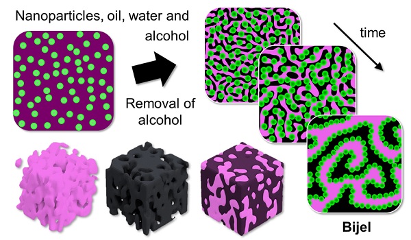 A bijel is formed by the gradual separation of oil and water upon alcohol removal and the self-assembly of nanoparticles on the interface of the interwoven oil and water channels