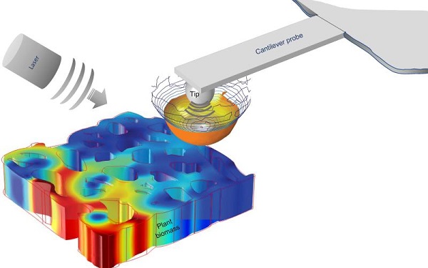 Scattering-type scanning near-field optical microscopy