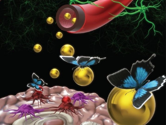 Dp44mT-loaded nanoparticles from the vein to the tumors, feeding and destroying the tumors