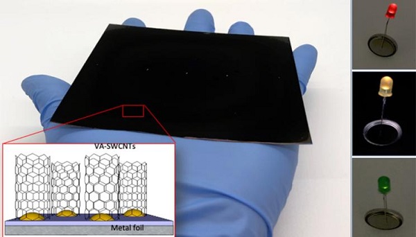 Photograph and schematic representation (inset) of a scaled-up sample of vertically-aligned single-walled carbon nanotubes