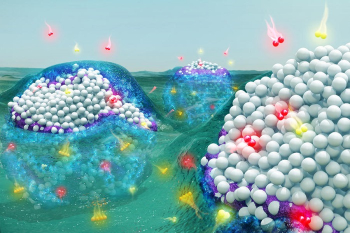 Solvents spontaneously react with metal nanoparticles to form reactive complexes that can improve catalyst performance and simultaneously reduce the environmental impact of chemical manufacturing