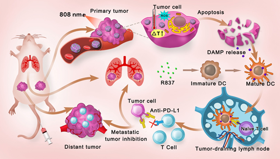 nanomaterials for photoimmunotherapy