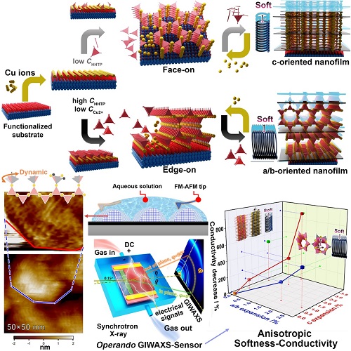 Schematic showing the preparation of the conductive MOF thin films with reversal orientations, the lattice image obtained from FM-AFM, and the anisotropic softness-conductivity revealed by the operando GIWAXS-Sensor