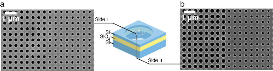 A scanning electron microscopy