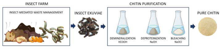 Multi-step process of chitin extraction from pupae skins