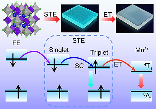 Efficient emission based on the triplet STEs and the energy transition process