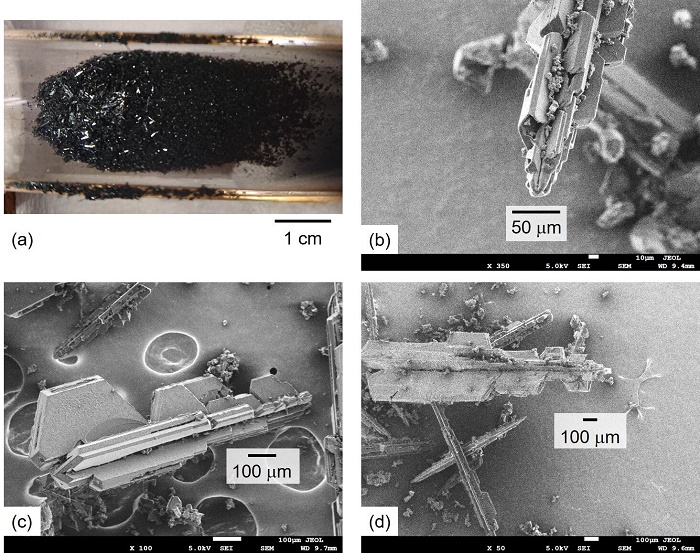 (a) Photo of produced FFMP on quarts plate and (b)-(d) scanning electron microscope images of samples