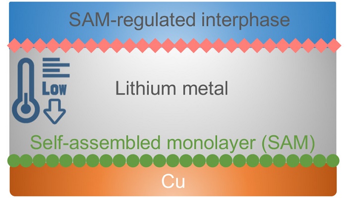 Image of the layers in a lithium metal anode for low temperature batteries