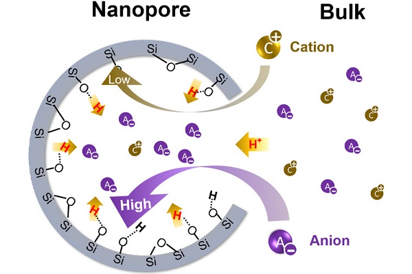 In the lab, the research teams found that anions were preferred to transport in nanopores, inducing lower pH inside the nanopores than in the bulk solution. The higher the salinity of the solution, the greater the difference -- as much as 100 times more acidic.
