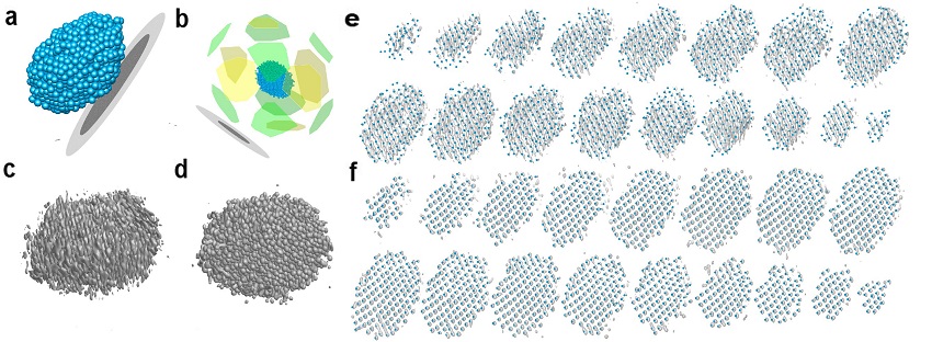 Overall atomic structure of a Pt nanoparticle determined in this study