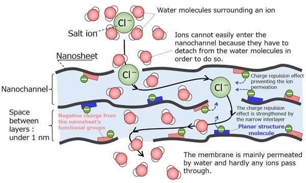 Diagram of the membrane. Water permeation is induced by the nanochannels