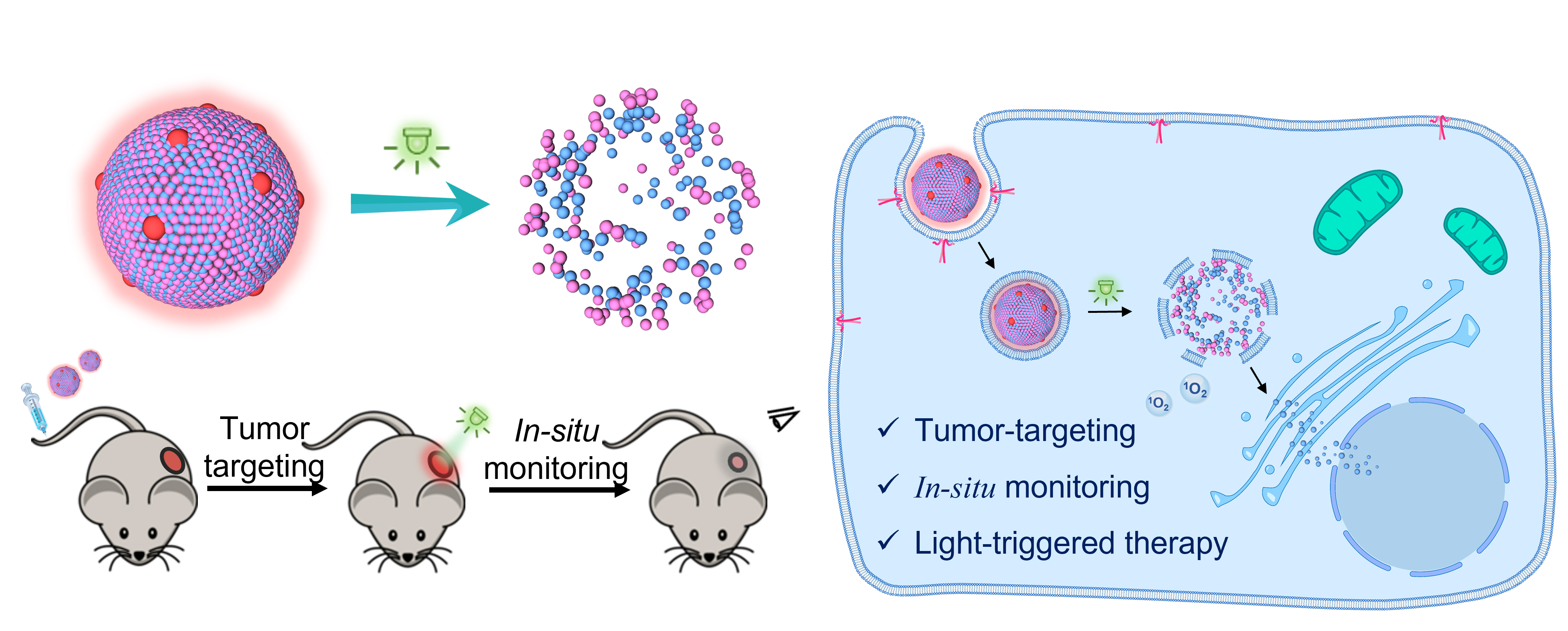 simple photo-responsive prodrug-dye nanomedicine