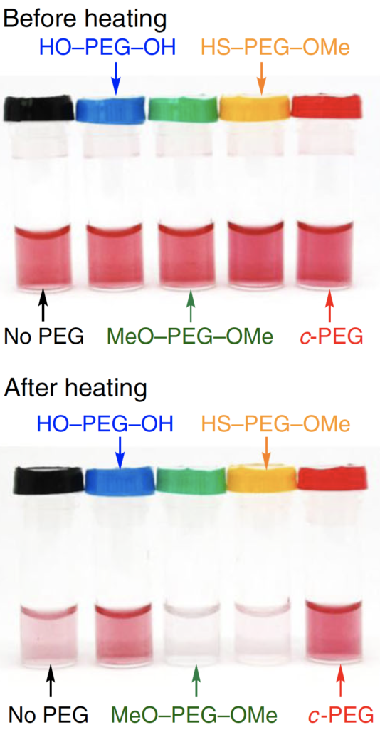 Gold nanoparticles suspended in different PEG solutions