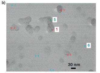 SE-STEM image of a different area of the same film as “13-a” in panel