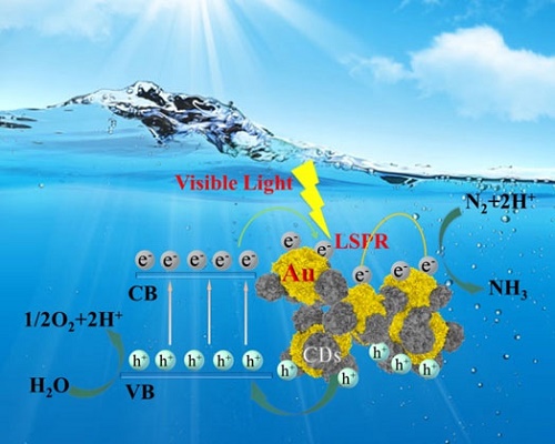 Synthesis and visible-light photocatalytic N2/H2O to ammonia of Au@CDs core-shell nanocatalyst