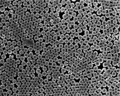 Scanning electron microscope image of the silicon nanopillars.