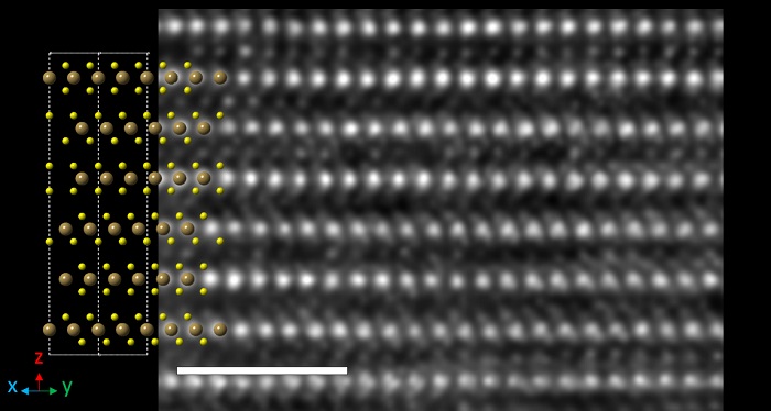 Electron microscopy image of the synthesized 6R TaS2 with an atomic model of the material on the left