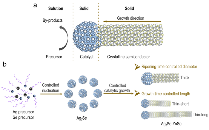 The solution-solid-solid growth mechanism