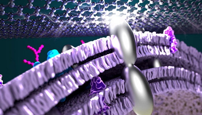 Artist’s image of a microbial fuel cell with efficiencies boosted by silver nanoparticles