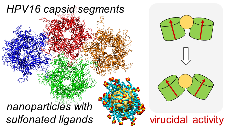 Solid core nanoparticles coated with sulfonated ligands