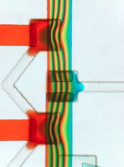 Three microvalves in a microchannel