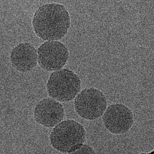 Electron microscopy image of nanoparticles containing the chemotherapy drug FuOXP and novel immunotherapy of siRNA that blocks expression of Xkr8.