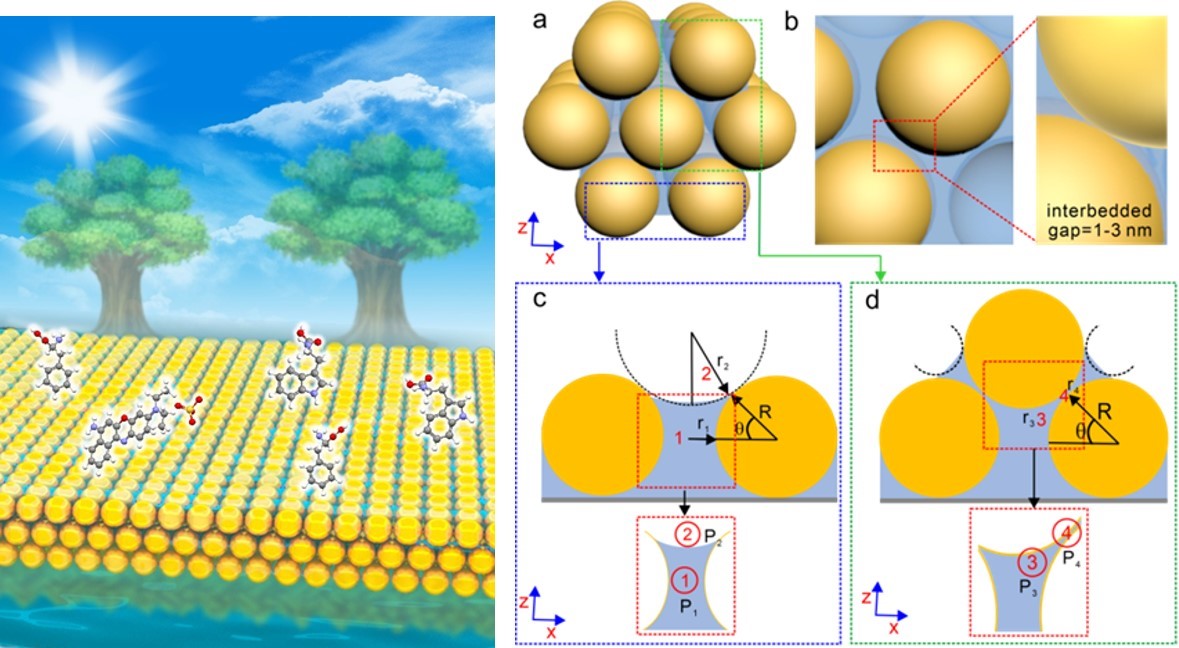 Schematic diagram of three-layer film transpiration (left); Principle of active capture of target molecules by small interbedded gaps (right).