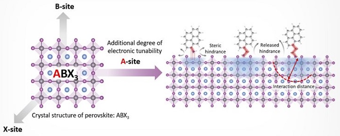 Schematic of perovskite material with organic molecules that can add to its electronic properties