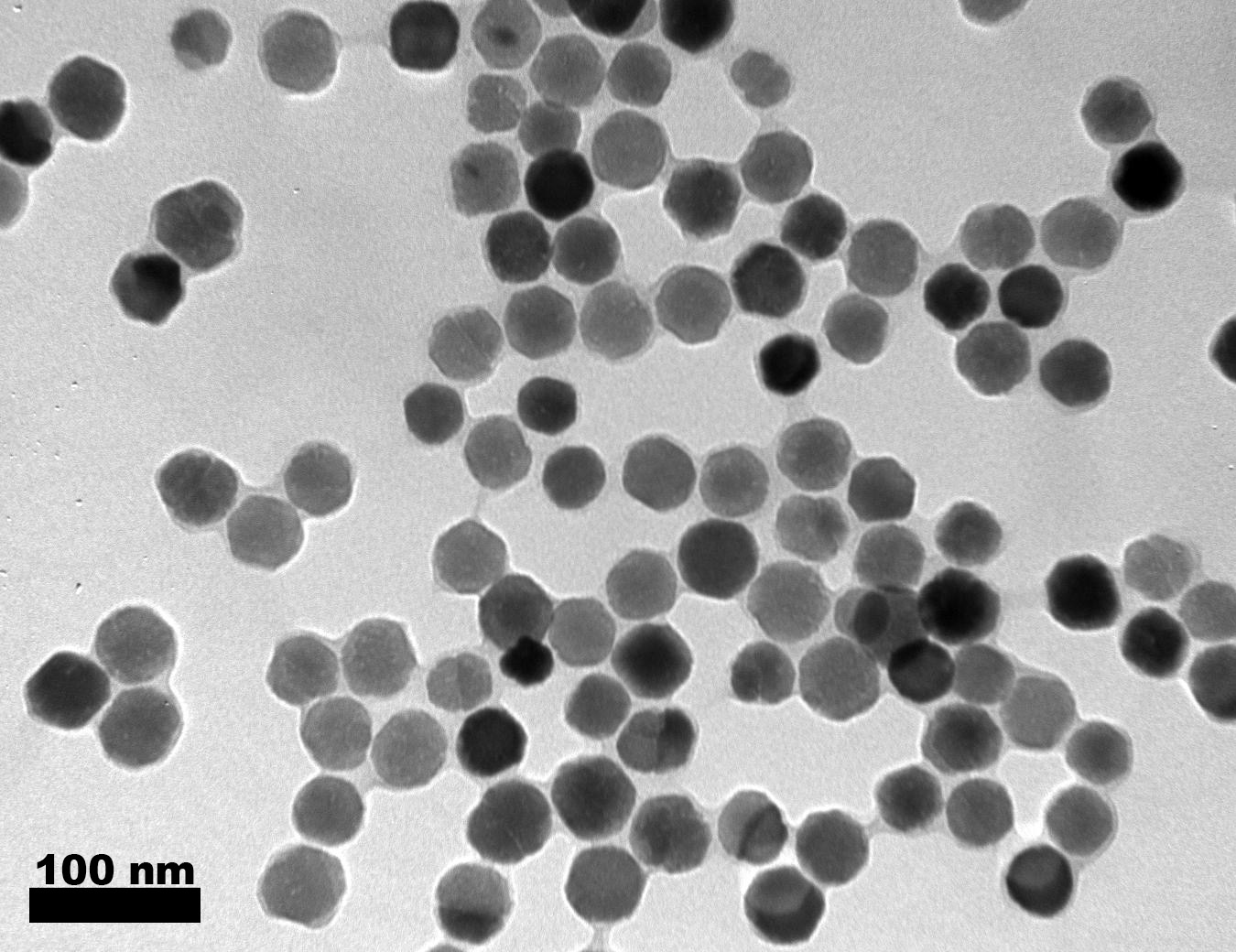 Magnetosomes isolated from magnetic bacteria