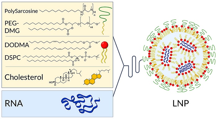 Lipid nanoparticles (LNP) are tiny particles (less than 100n diameter) made of lipids, which are used in the biotechnology industry to deliver molecules, such as RNA, to cells