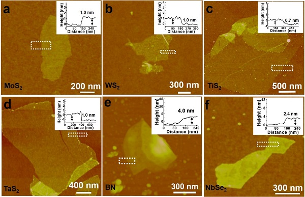 Images of the exfoliated nanosheets of a, MoS2. b, WS2. c, TiS2. d, TaS2. e, BN. f, NbSe2. Mono- and few-layer inorganic nanosheets were successfully produced by this method.