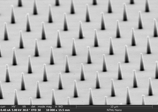 Researchers created substrates with nano-sized pillars in various arrangements
