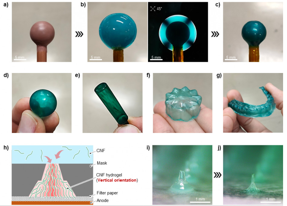 (a) Spherical electrode, (b) horizontally oriented CNF hydrogel fixed on its surface, and (c, d) molded CNF film after drying the CNF hydrogel. Similarly obtained (e) cylindrical, (f) flower-like, and (g) mouthpiece-shaped molded CNF films. (h) Combining mask patterning, porous substrates, and vertically oriented CNFs. (i) CNF hydrogels with sharp structures fixed on porous substrates. (j) CNF microneedles after drying.